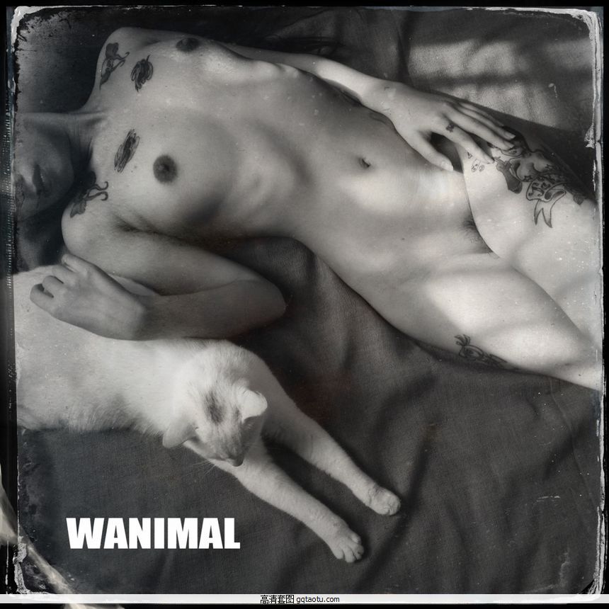 WANIMALƷʥͼ[125P]