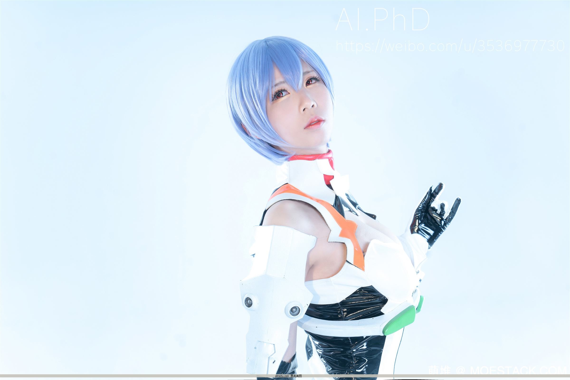 COSER Ůʦ_PhD – 籲[17P]