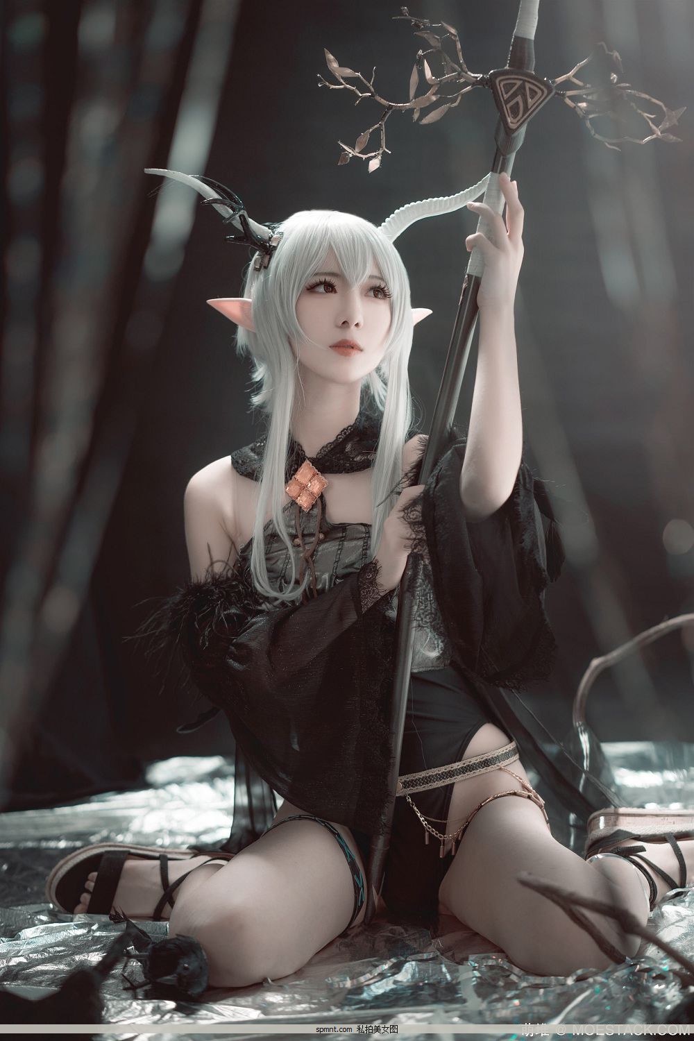 COSER Ůww – շ [16P]