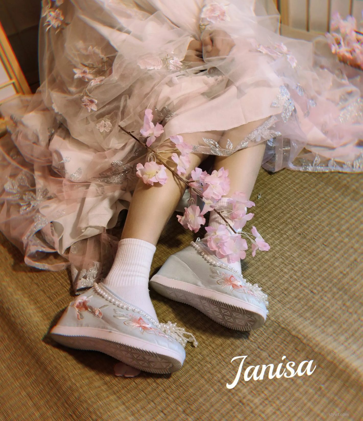 (23P) Janisa - 2ҳ