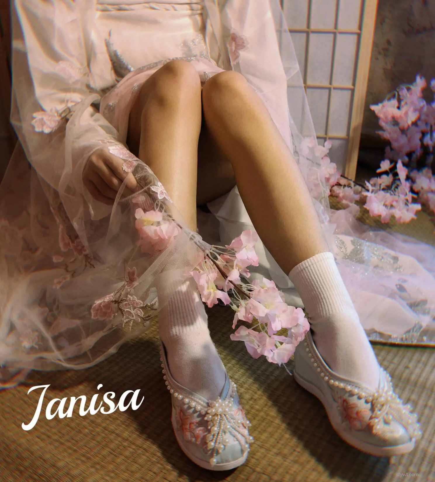 (23P) Janisa - 2ҳ