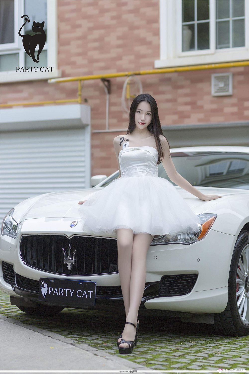 [ſèPartyCat]Y18.11.12 Vol.6 _ Ů