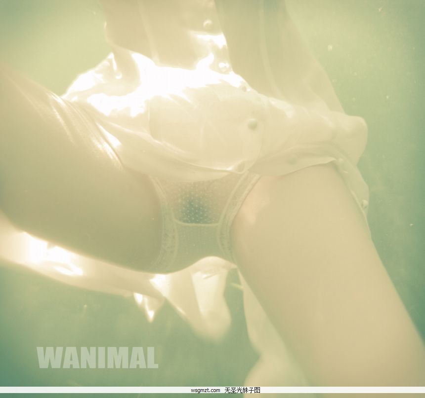 WANIMALƷʥͼ[125P]ȫ