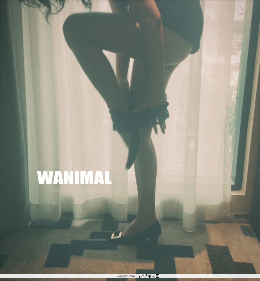 WANIMALƷʥͼ[125P]ȫ