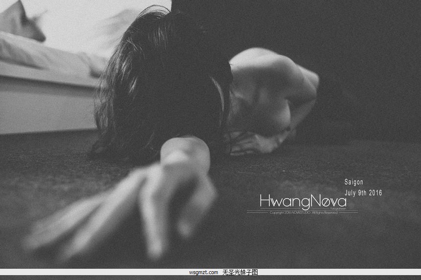 ԽHwang NovaƷLe Vu Minh Hoangʥͼ[108P]ȫ