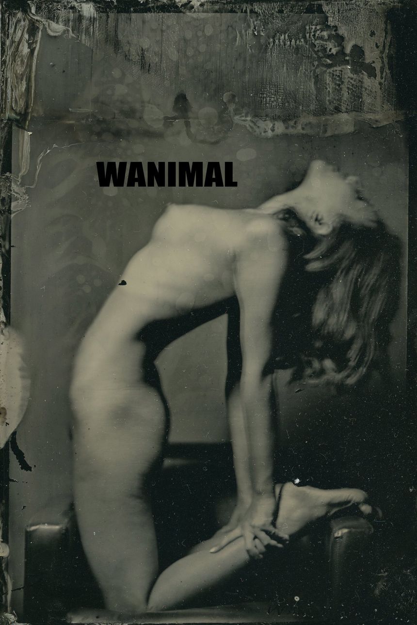 WANIMALٷƷ20197ʥͼ[72P] 1ҳ