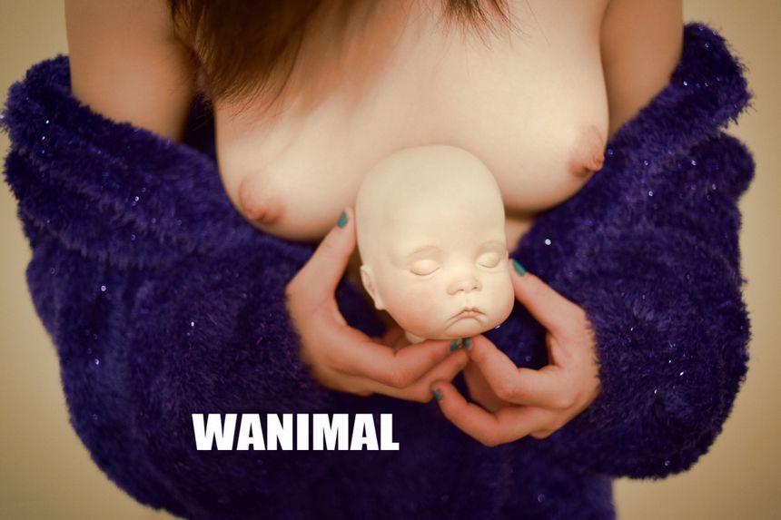 WANIMALƷʥͼʮһ[104P] 1ҳ